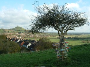 holy thorn at samhain08